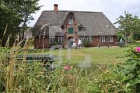 OJ06_Amrum08_0133.JPG