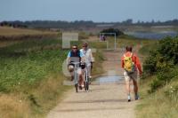 OJ06_Amrum30_0165.JPG