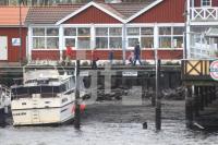 ON06_Niedrig01_0164.jpg