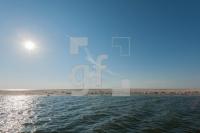 PI10_Pell05_1300.jpg