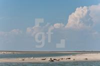 PI10_Pell09_1380.jpg