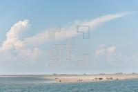 PI10_Pell10_1387.jpg