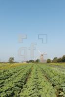 PK17_Fo02_1366.jpg