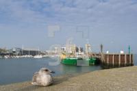 PL03_Sylt18_1309.jpg