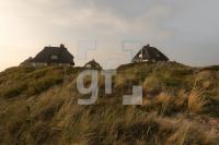 PL03_Sylt32_1308.jpg