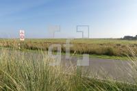 PL04_Sylt06_1358.jpg