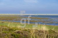 PL04_Sylt09_1357.jpg
