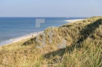 PL04_Sylt24_1397.jpg