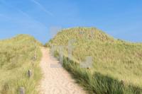 PL04_Sylt34_1339.jpg