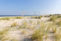 PL04_Sylt37_1359.jpg