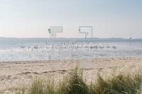 PL04_Sylt38_1362.jpg