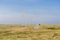 PL04_Sylt43_1377.jpg