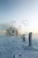 QC30_Win12_0106.JPG