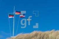 QG07_Hel206_1300.jpg