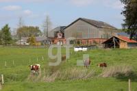 QG08_Dorf04_0128.JPG