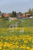 QG08_Dorf05_0139.JPG