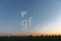 QH09_Fe01_1300.jpg