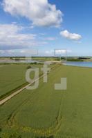 QH09_Fe30_1300.jpg