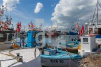 QH09_Fe37_1300.jpg