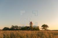 QH11_Fe04_1300.jpg
