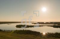 QH11_Fe09_1300.jpg