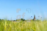 QH11_Fe22_1300.jpg