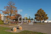QL25_Wd17_1300.jpg