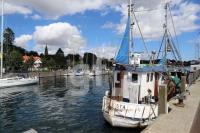 RI28_Eck14_0131.JPG