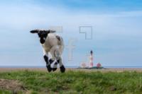 SE24_Whever01_1300.jpg
