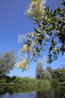 TH26_Tr05_0180.JPG