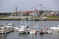 TK19_Bu01_0147.JPG