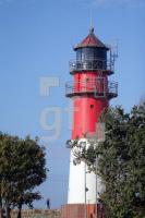 TK19_Bu07_0178.JPG