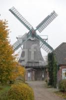 TM06_So01_0138.JPG