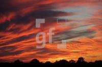 VJ20_Su05_0133.JPG