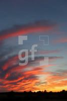 VJ20_Su06_0130.JPG