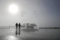 WD28_Sp06_0167.JPG