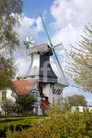 ZAF16_Ri01_0130.JPG