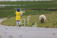 ZAI17_HH_01821.JPG