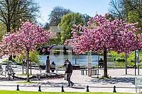 ZCF28_Rd_0110387.JPG