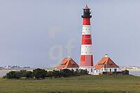 ZCI22_Ei_0110525.JPG
