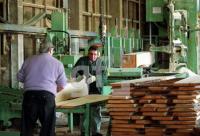 DD28_Saegewerk_0145.jpg