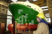 DM08_FSGGruen1_0133.jpg