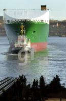 DM08_FSGGruen4_0133.jpg