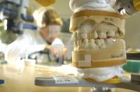FN07_DentalZahn04_0161.jpg
