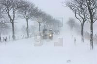 GD23_Winter2_0171.jpg