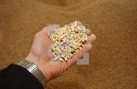 GE03_Holzpellet_0901.jpg