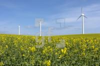 GG05_Windenergie06_0135.jpg
