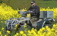 GG15_Quad_0111.jpg