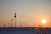 HC99_Wind01_1385.jpg