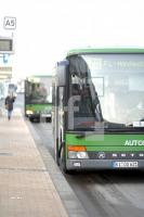 IC29_Bus08_0103.JPG